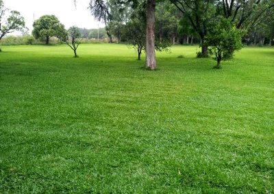 Grama São Carlos Zona Leste em São Paulo