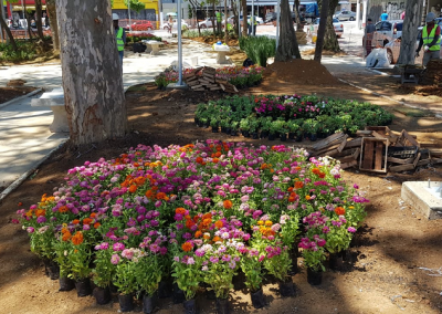 Paisagismo de Jardim Zona Leste São Paulo